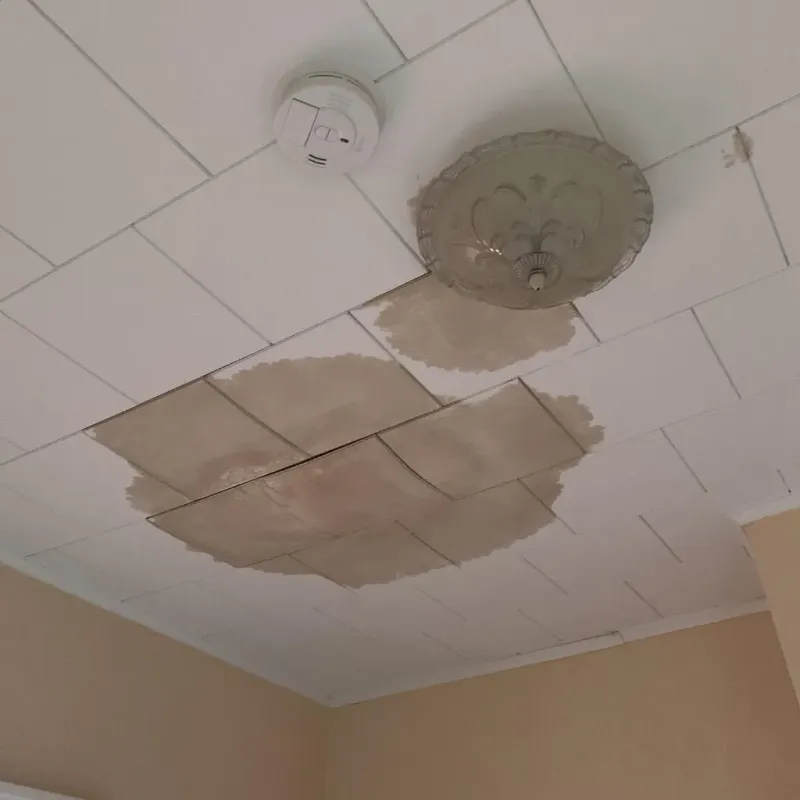 Ceiling Water Damage Repair in Corinth, MS